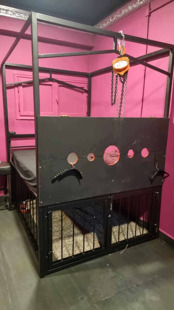 IMG-20230111-WA0006 IMG 20230111 WA0006